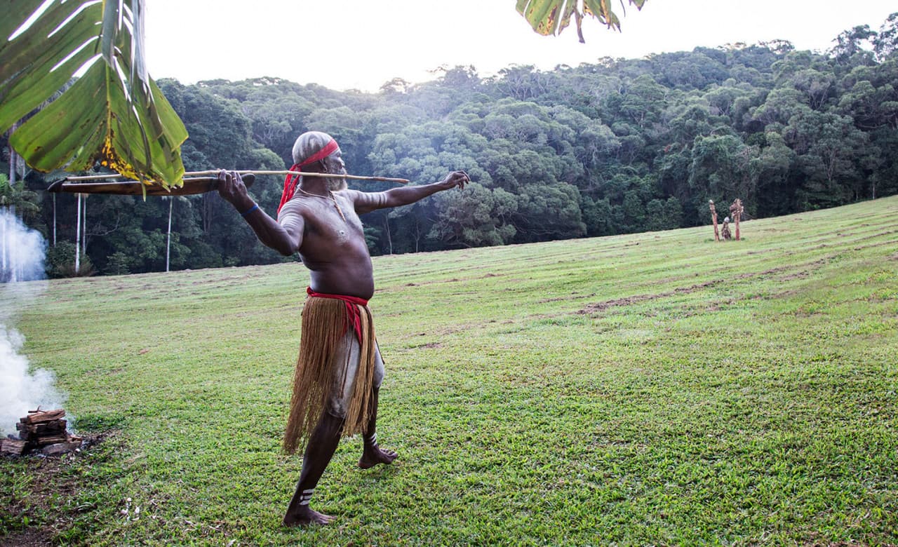 Full-Day Kuranda Tour with Skyrail Cableway, Scenic Railway and Rainforestation - image 15