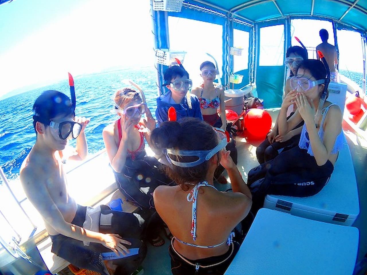 Half-Day Morning Snorkeling Tour with Phantom Island Visit - image 11