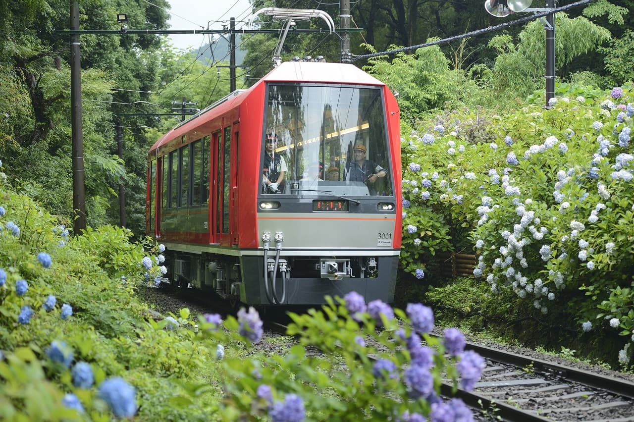 Hakone Kamakura Pass - image 5