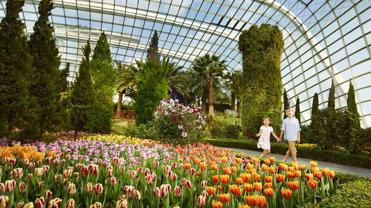 COMBO: Gardens by the Bay + ArtScience Museum Tickets - image 4
