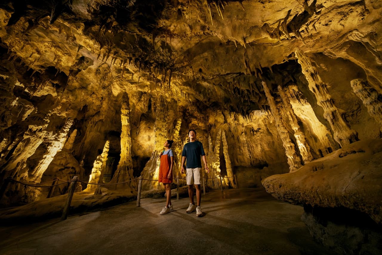 Mandai Destination Pass: Visit Up to 6 Attractions in 1 or 5 Days - image 25