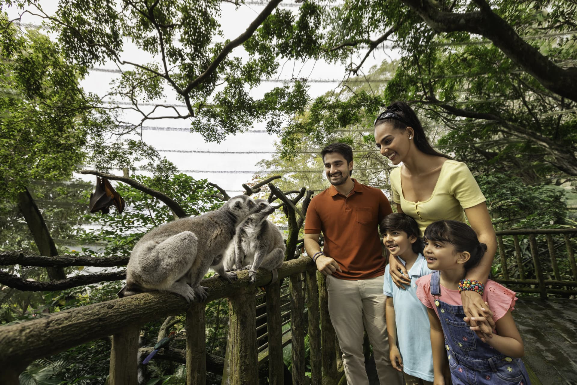 Mandai Destination Pass: Up to 2 Attractions in 1 Day - image 11