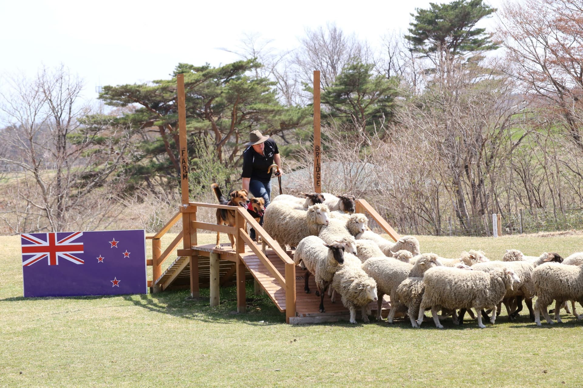 Nasu Animal Kingdom Ticket - image 6