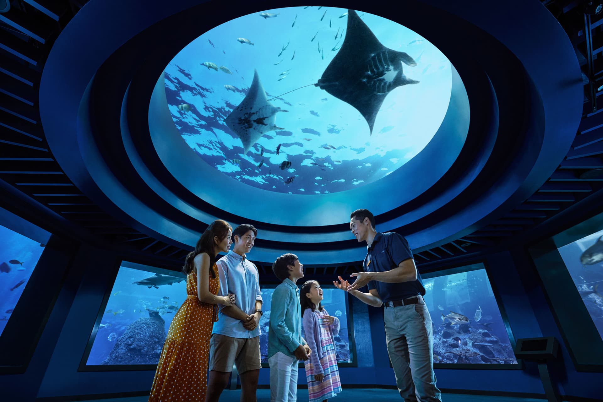 COMBO: Singapore Oceanarium + Albatross Hop-On Hop-Off Speedboat Tickets - main image