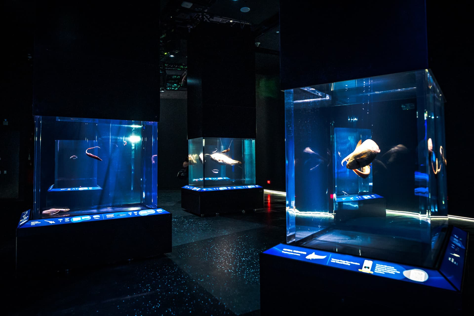 Singapore Oceanarium Ticket - image 3