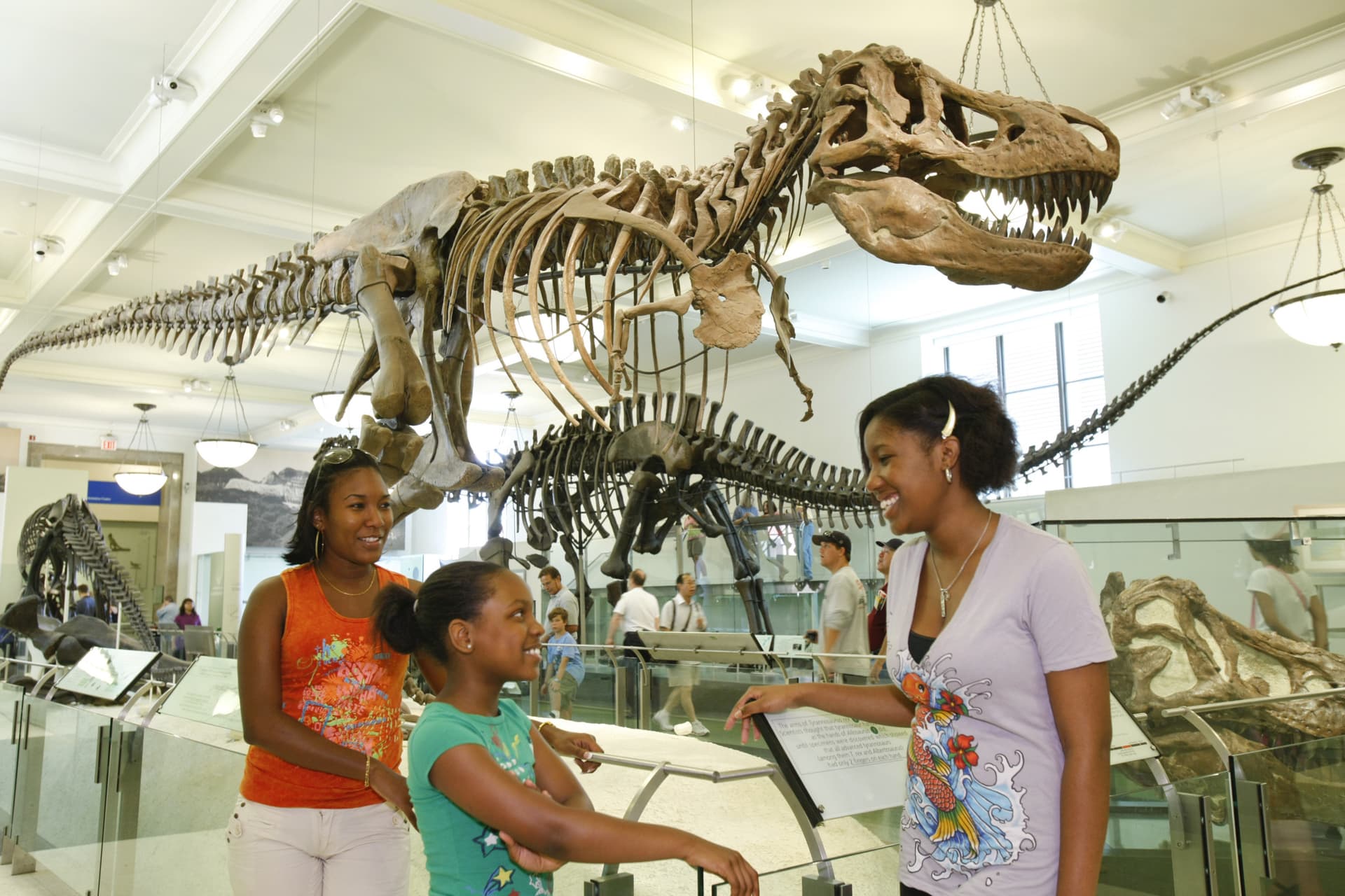 Go City New York Essential Pass: Save up to 50% on Attractions - image 6