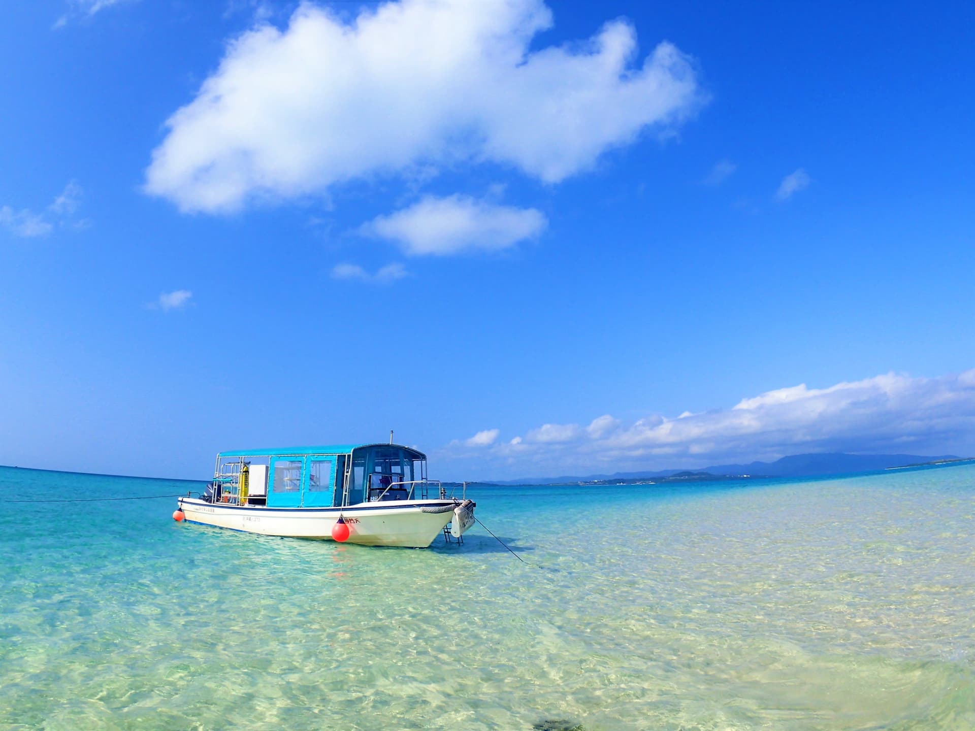 Half-Day Morning Snorkeling Tour with Phantom Island Visit - image 2