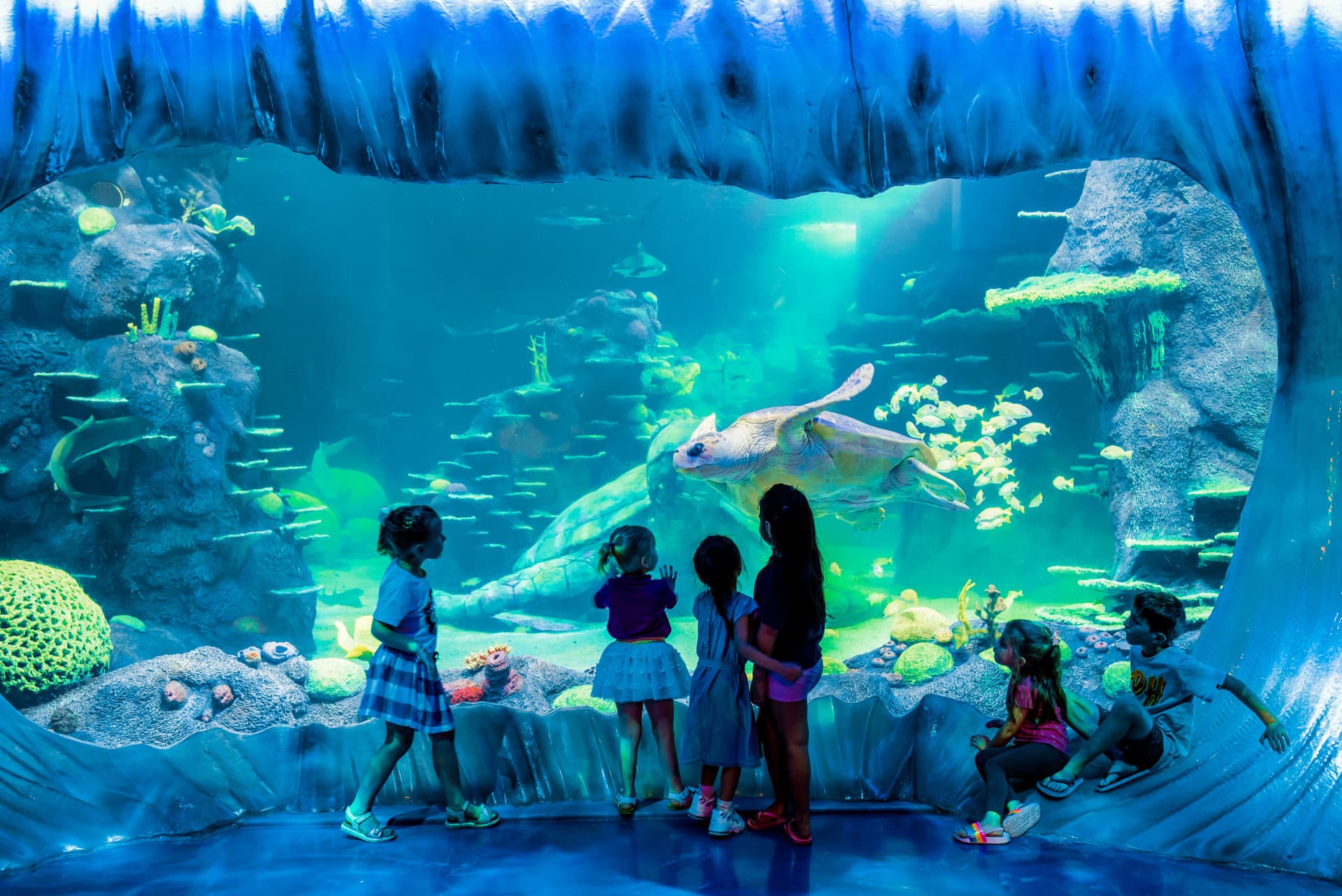 Go City Sydney All-Inclusive Pass: Save up to 50% on Attractions - image 30
